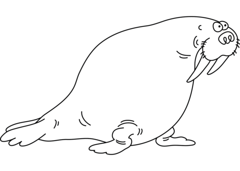 Funny Walrus Coloring Page